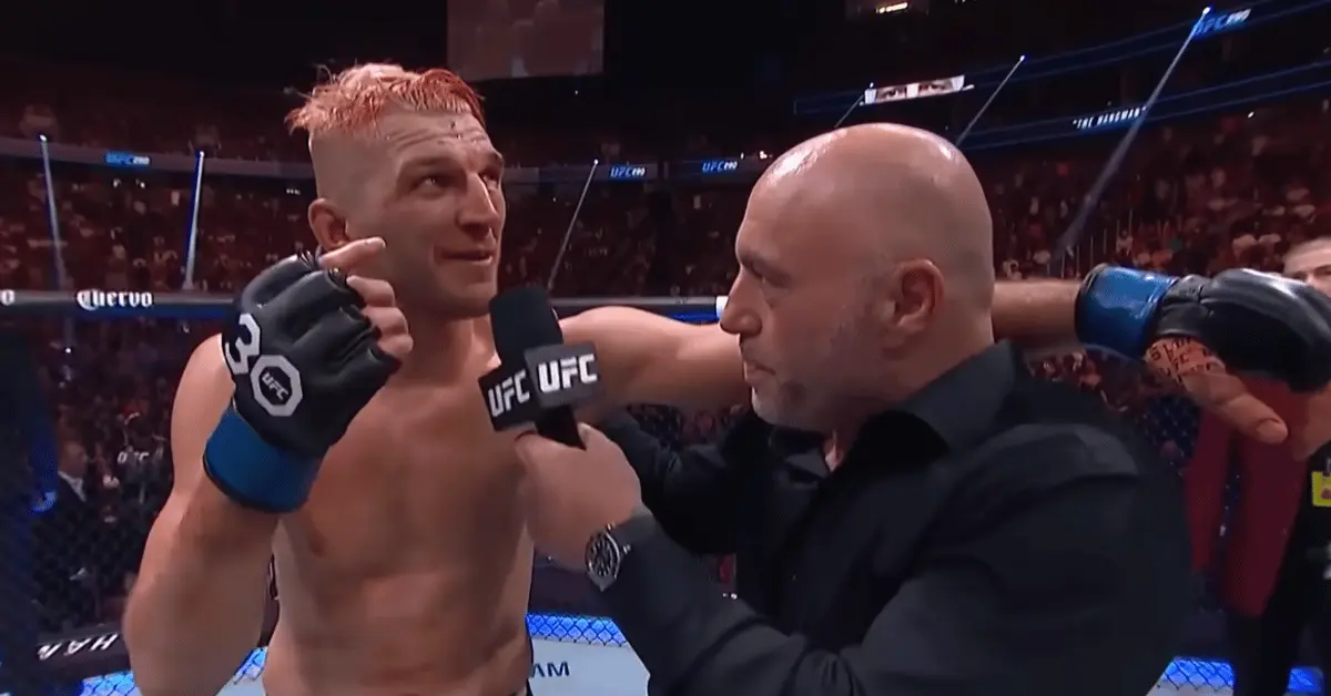 Dan Hooker